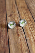 Cactus Longhorn Studs